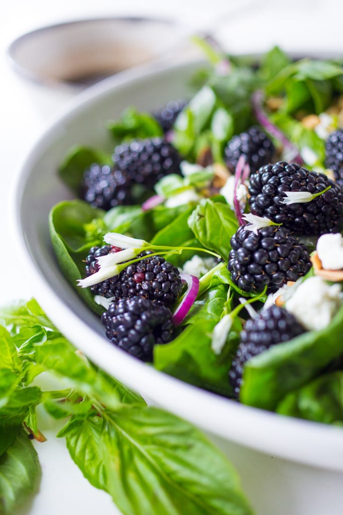 Blackberry arugula salad Blackberry, Arugula and Basil Salad with crumbled goat cheese in a white bowl.