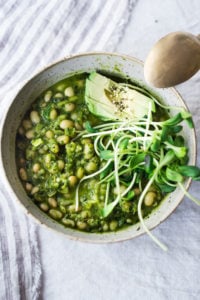 Cassoulet Vert - a modernized White Bean Stew with Lemony Kale Pesto that is meat-free and that can be made in an Instant Pot! Fast, healthy delicious!