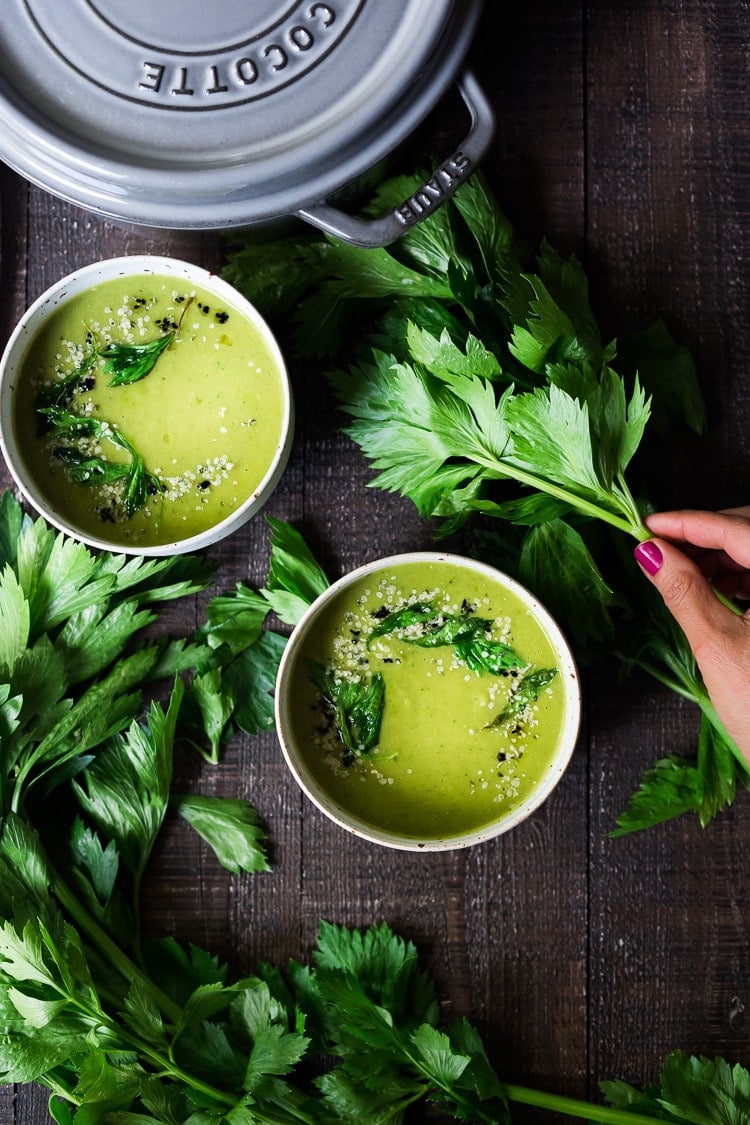 A healing bowl of Celery Soup- comforting, affordable and flavorful, that can be made in 35 minutes. Healthy, delicious and vegan adaptable! #celerysoup #celerysoup #vegan #vegansoup #healthysoup