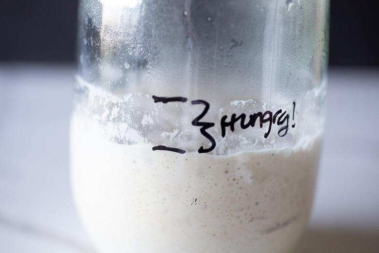 hungry sourdough starter