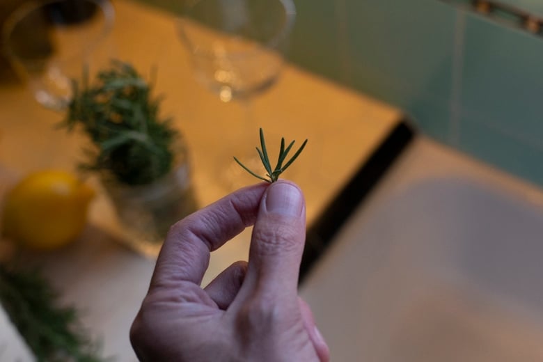 rosemary
