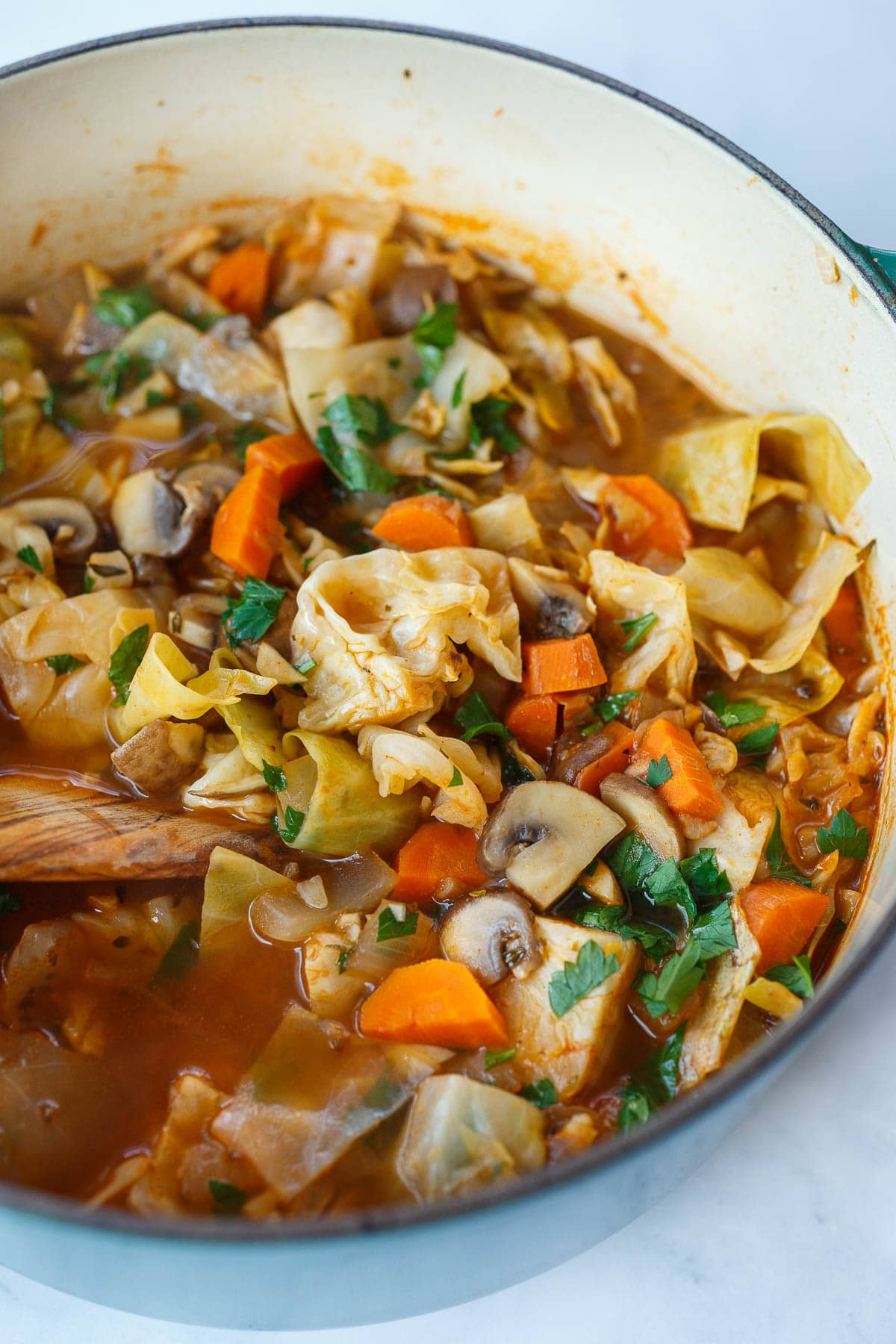 Cabbage soup after simmering for 20 minutes. Ready to serve.