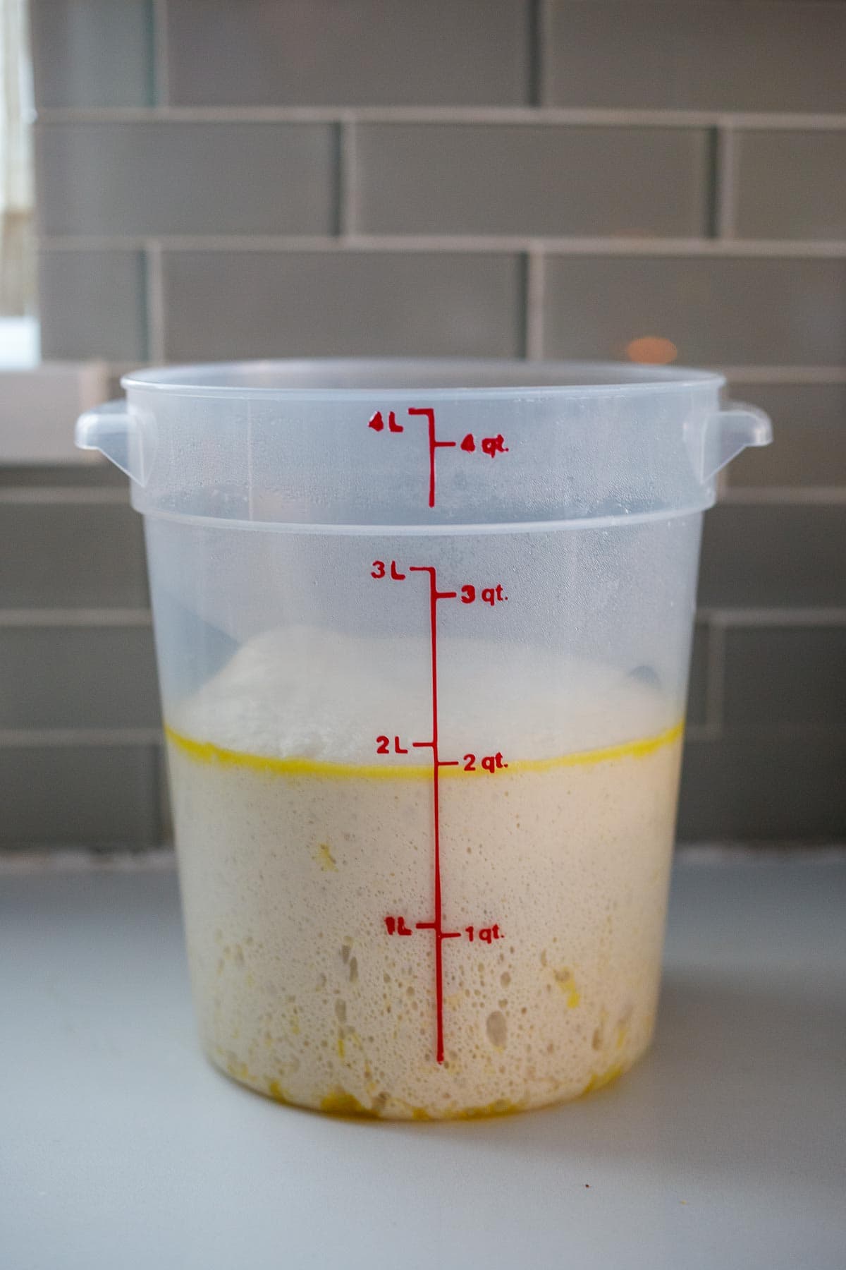 The pizza dough, doubled in size in same consenter.