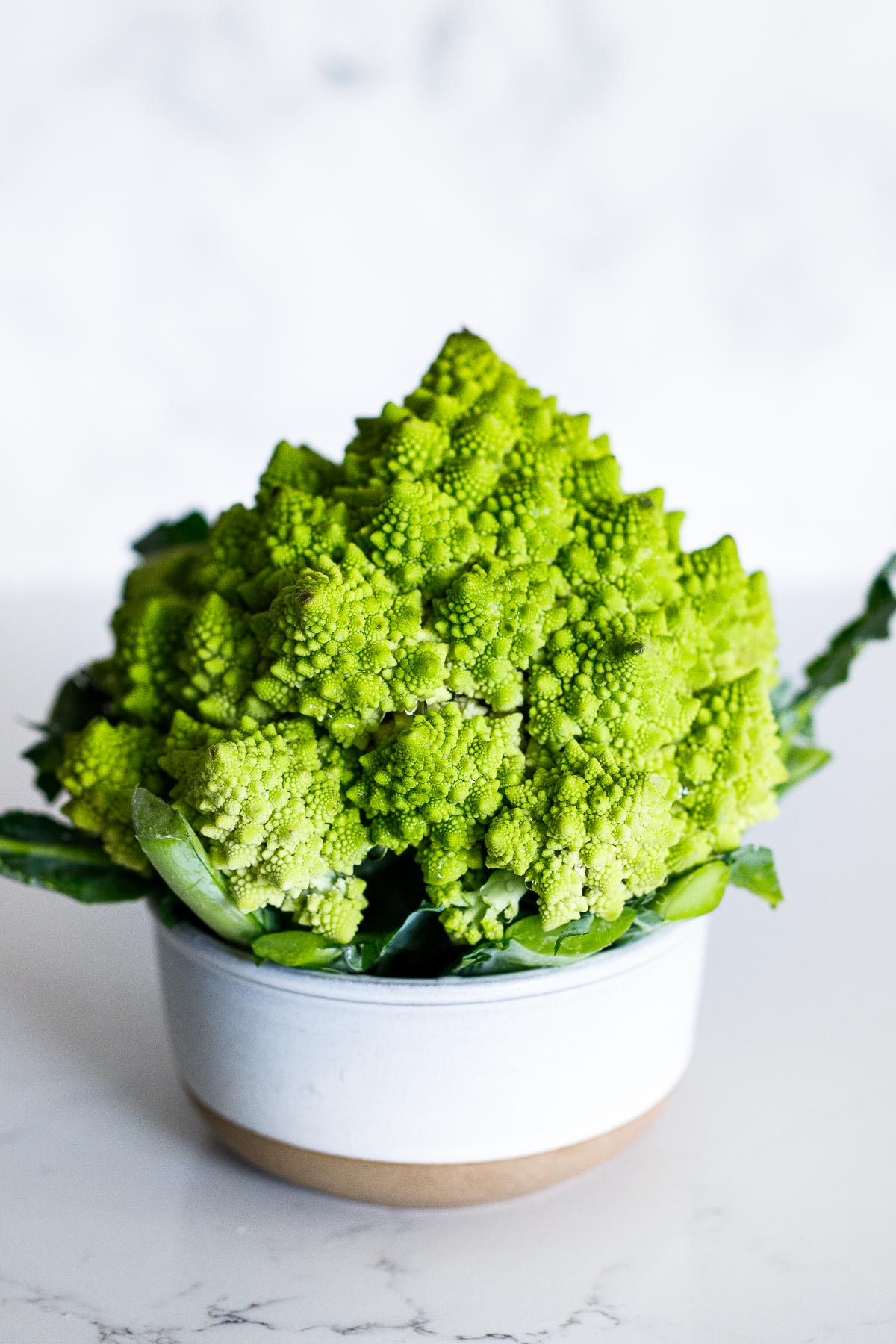 A photo of green Romanesco- a hybrid of broccoli and cauliflower. 
