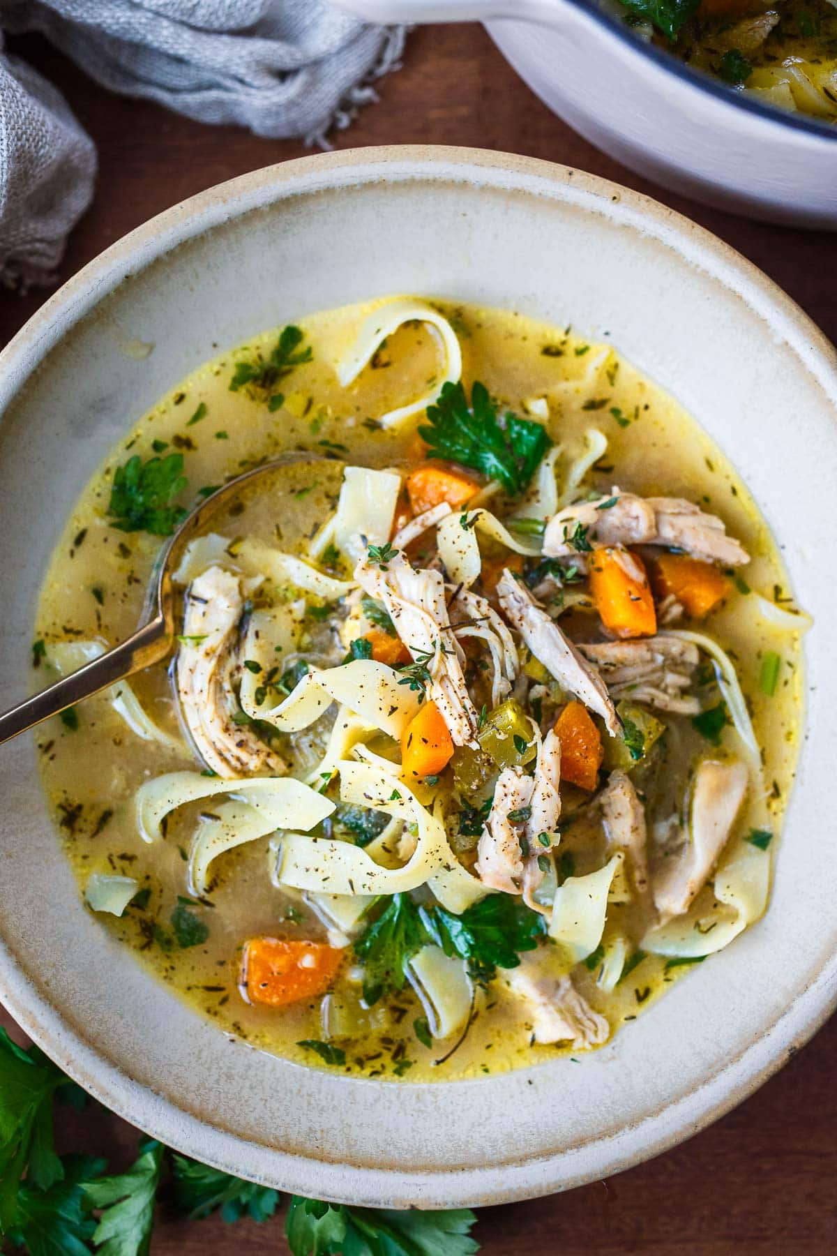 Chicken Noodle soup in a bowl with a spoon.