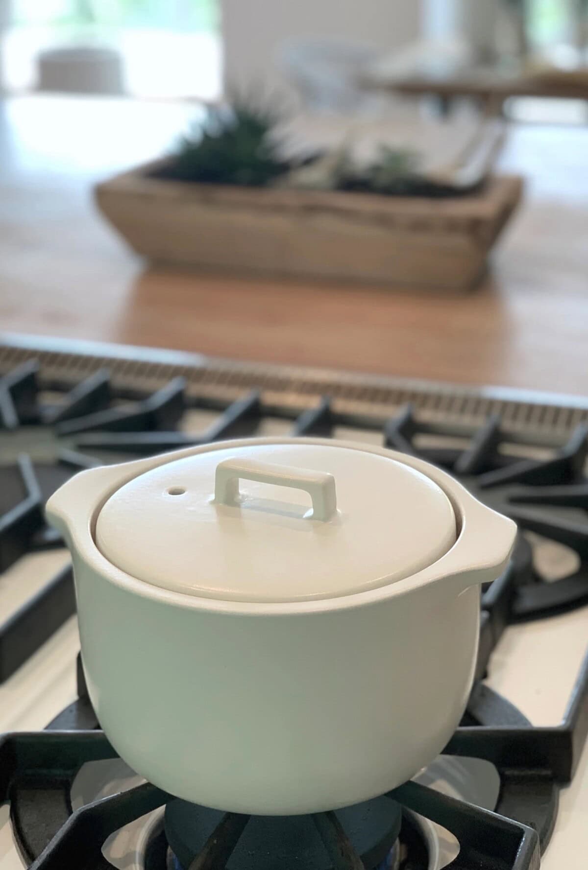 Best Kitchen gift ideas for chefs and home cooks: Japanese Rice cooker