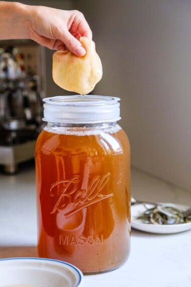 Making homemade Kombucha is a fun adventure, and it's even easier than you think! Just follow our simple steps—no fancy gadgets needed!