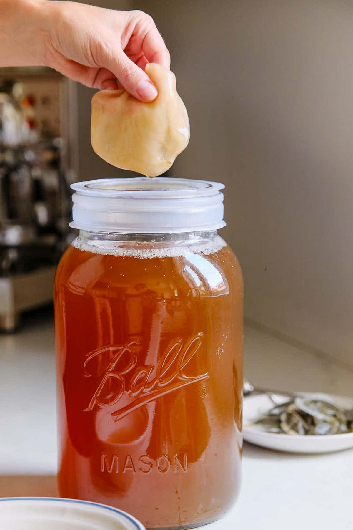 hand holding scoby over large jar of tea to make kombucha.