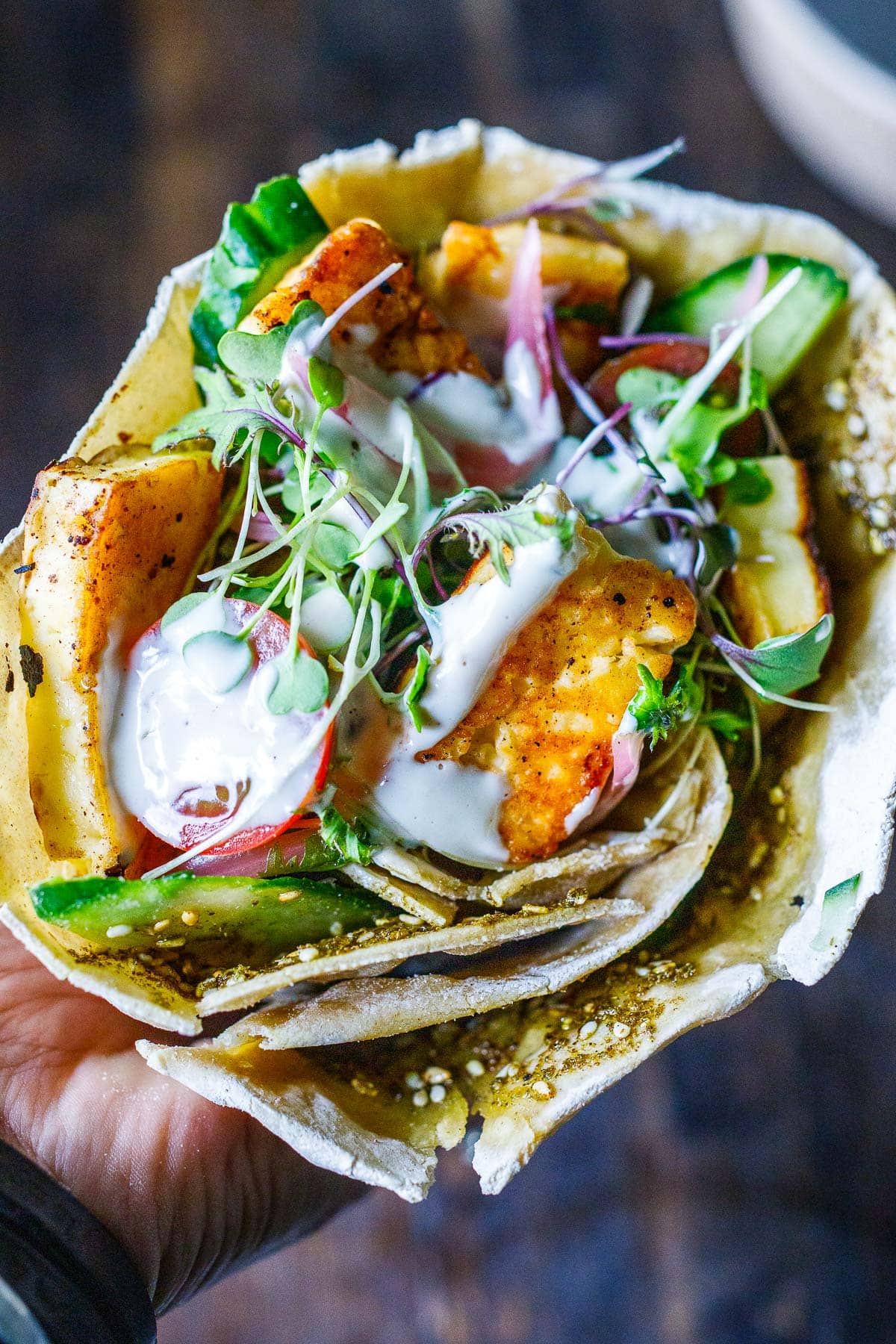 halloumi wrap with tahini yogurt sauce drizzled on top.