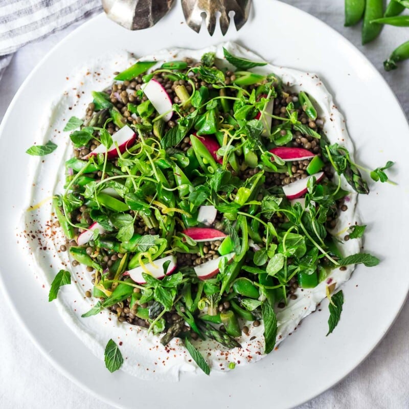 a spring lentil salad over creamy tahini yogurt on a white plate.