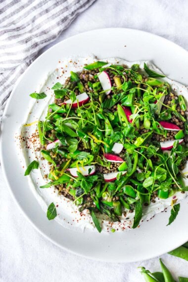 a spring lentil salad over creamy tahini yogurt on a white plate.