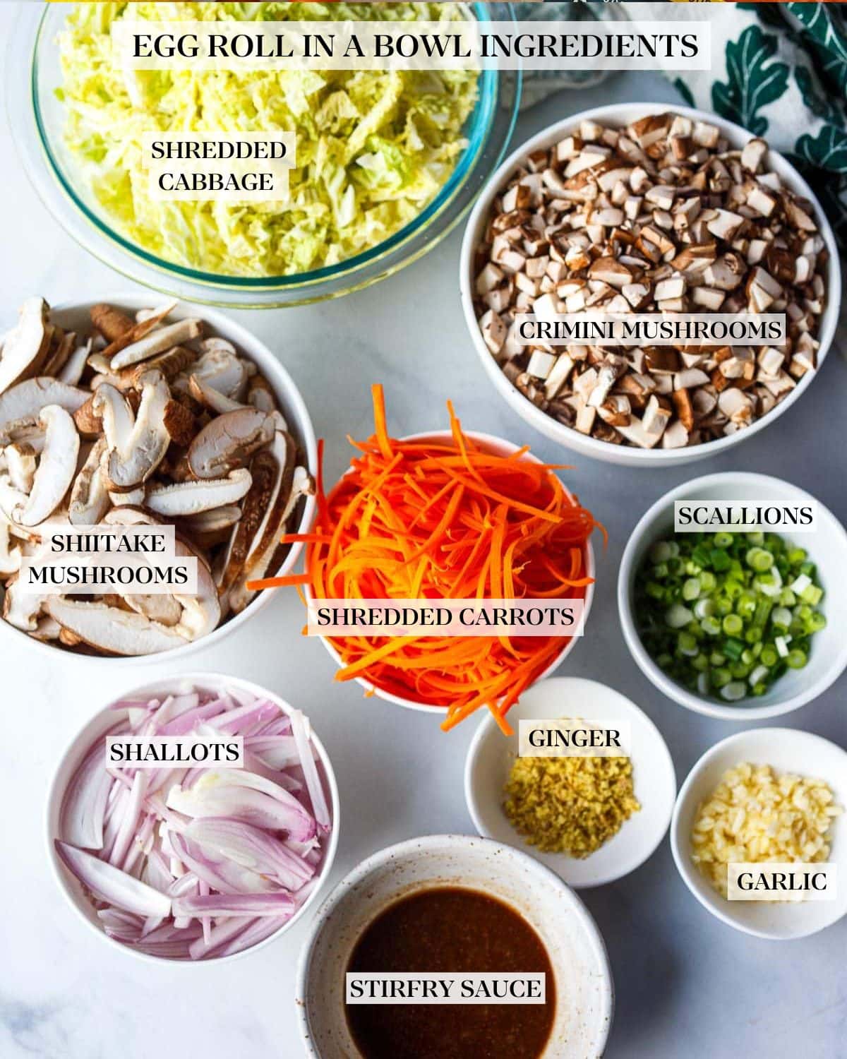 prepped ingredients in bowls - cabbage, mushrooms, carrots, green onions, shallots, ginger, garlic, stir fry sauce.