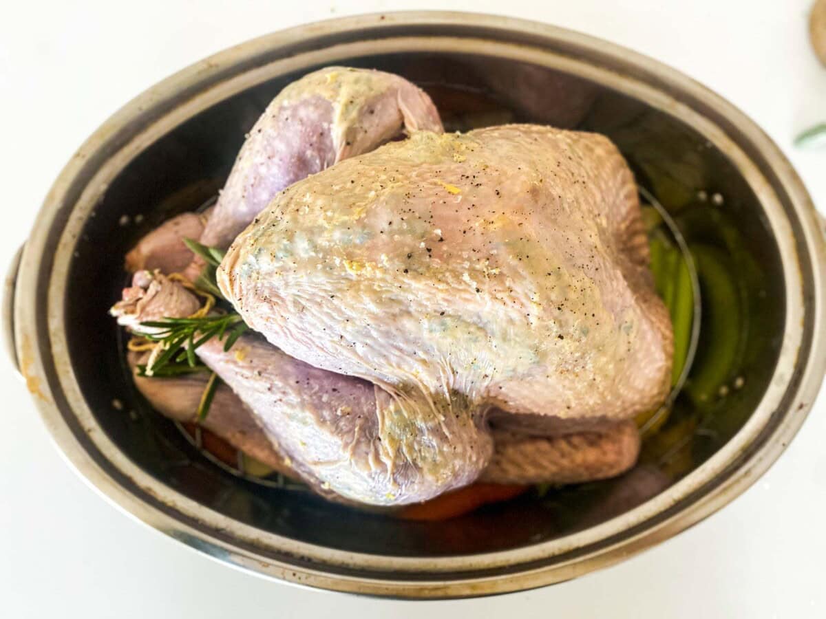 prepped turkey in roasting pan.