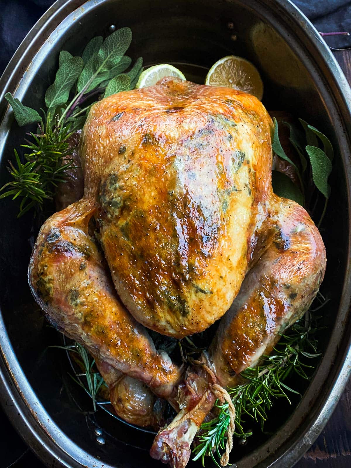 roast turkey in oval roasting dish with fresh herbs.
