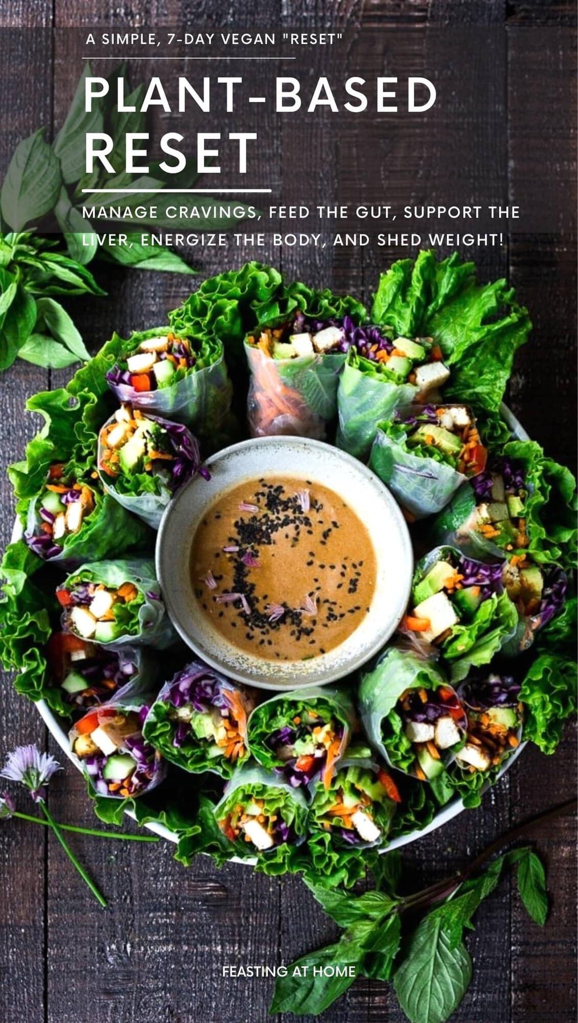vegan detox diet guide