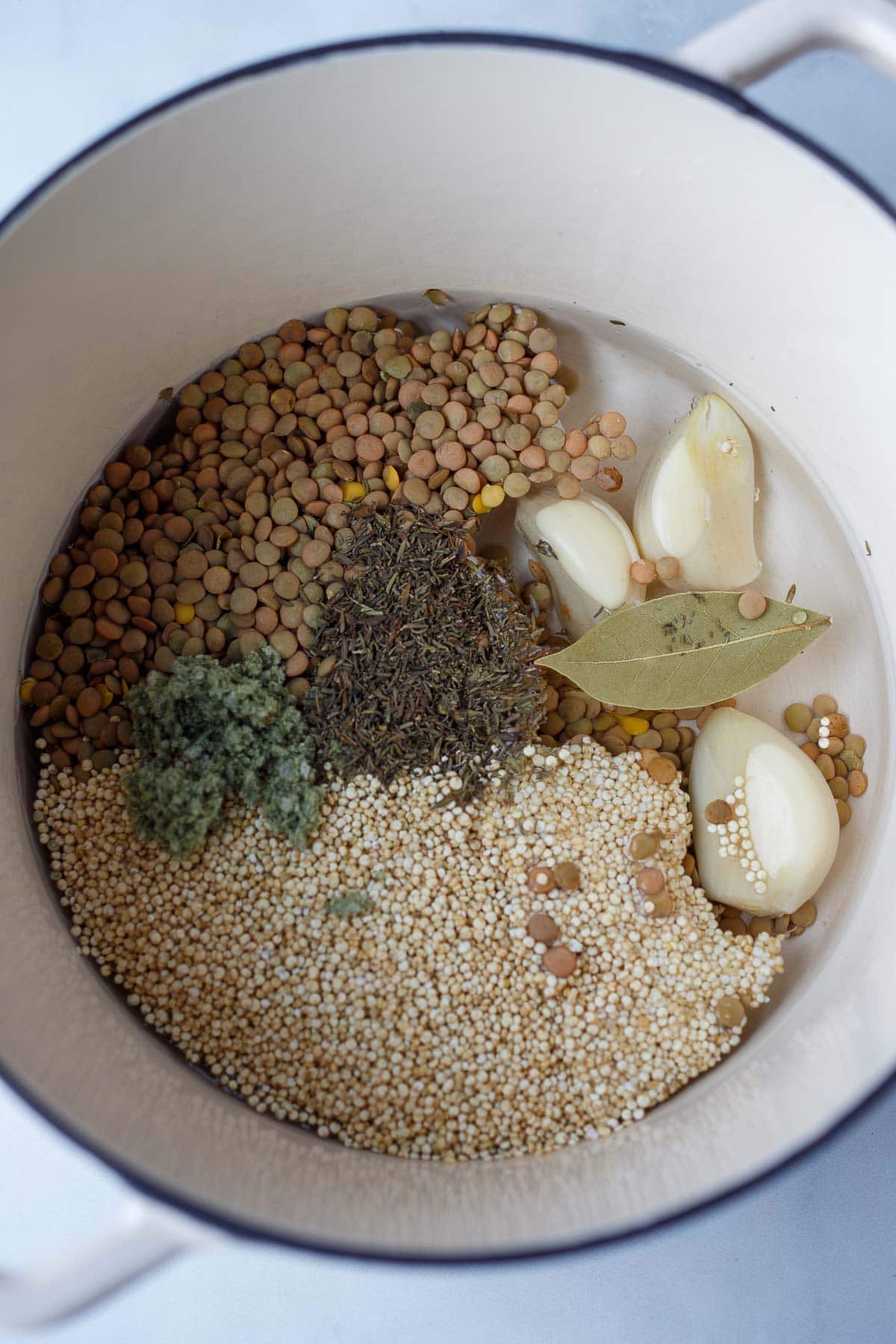 dutch oven with water, lentils, quinoa, herbs, and garlic cloves.