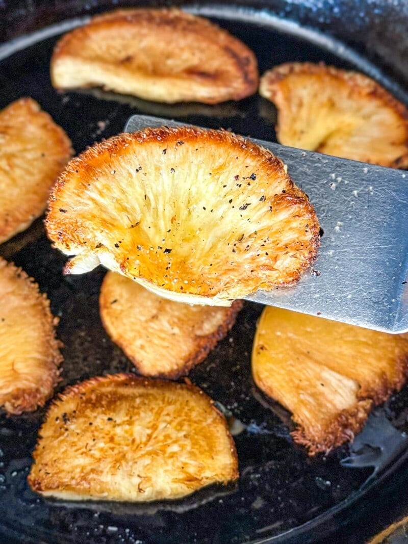 lions mane recipe