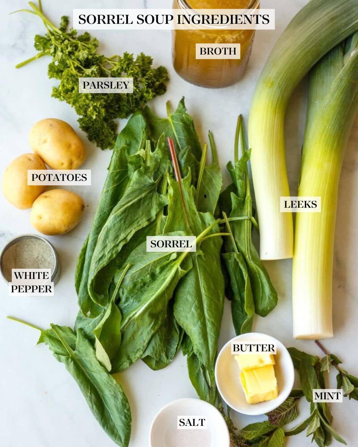 ingredients laid out on the counter for sorrel soup - jar of chicken broth, leeks, herbs, yellow potatoes, sorrel, white pepper, butter, and salt. 