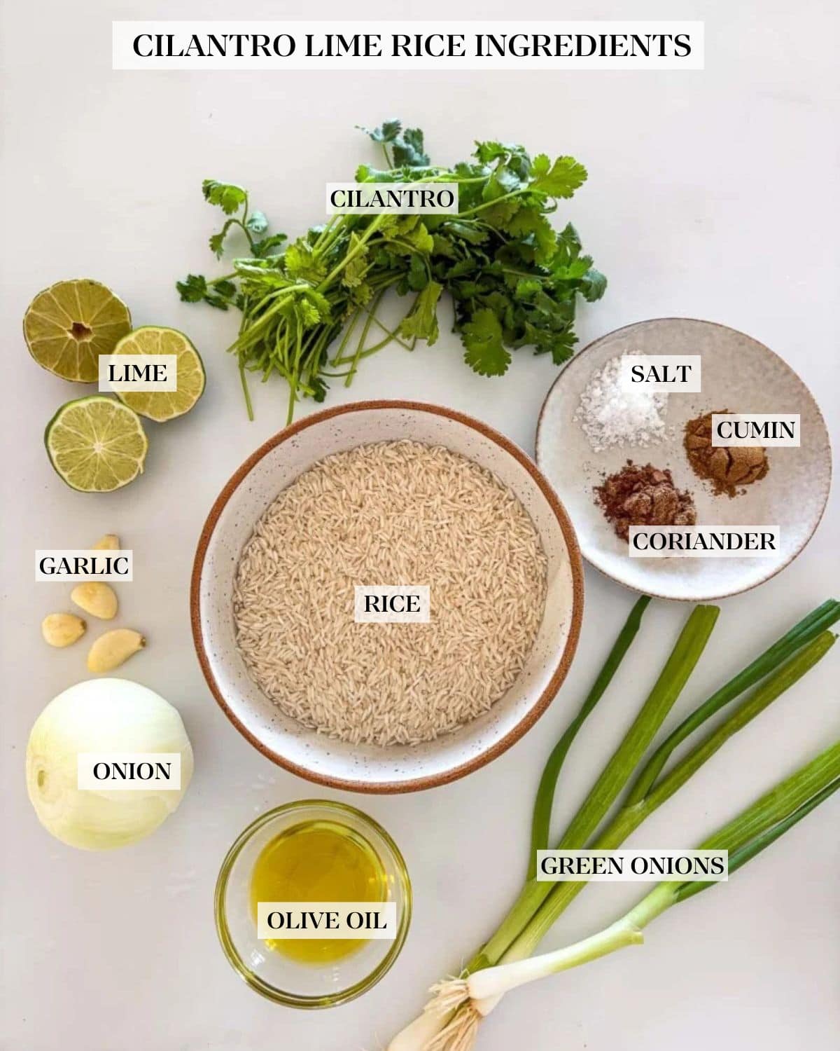 The ingredients in cilantro lime rice layed out on the counter: long grain rice, fresh limes, cilantro, onion,  green onion, garlic and Mexican spices. 