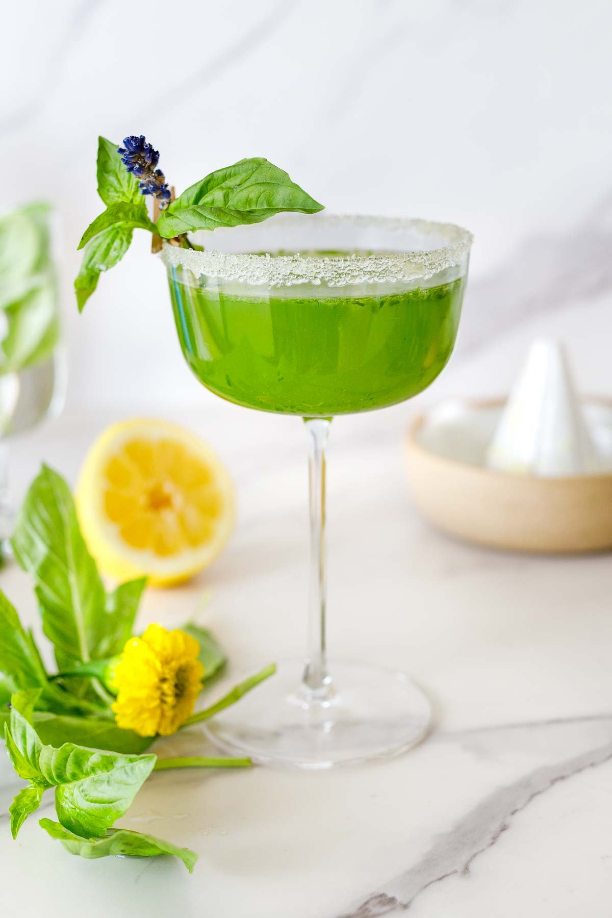 basil bee cocktail in a coupe glass, a basil variation of the bee's knees, with a basil lavender garnish attached with a clothespin on the sugar rim. 