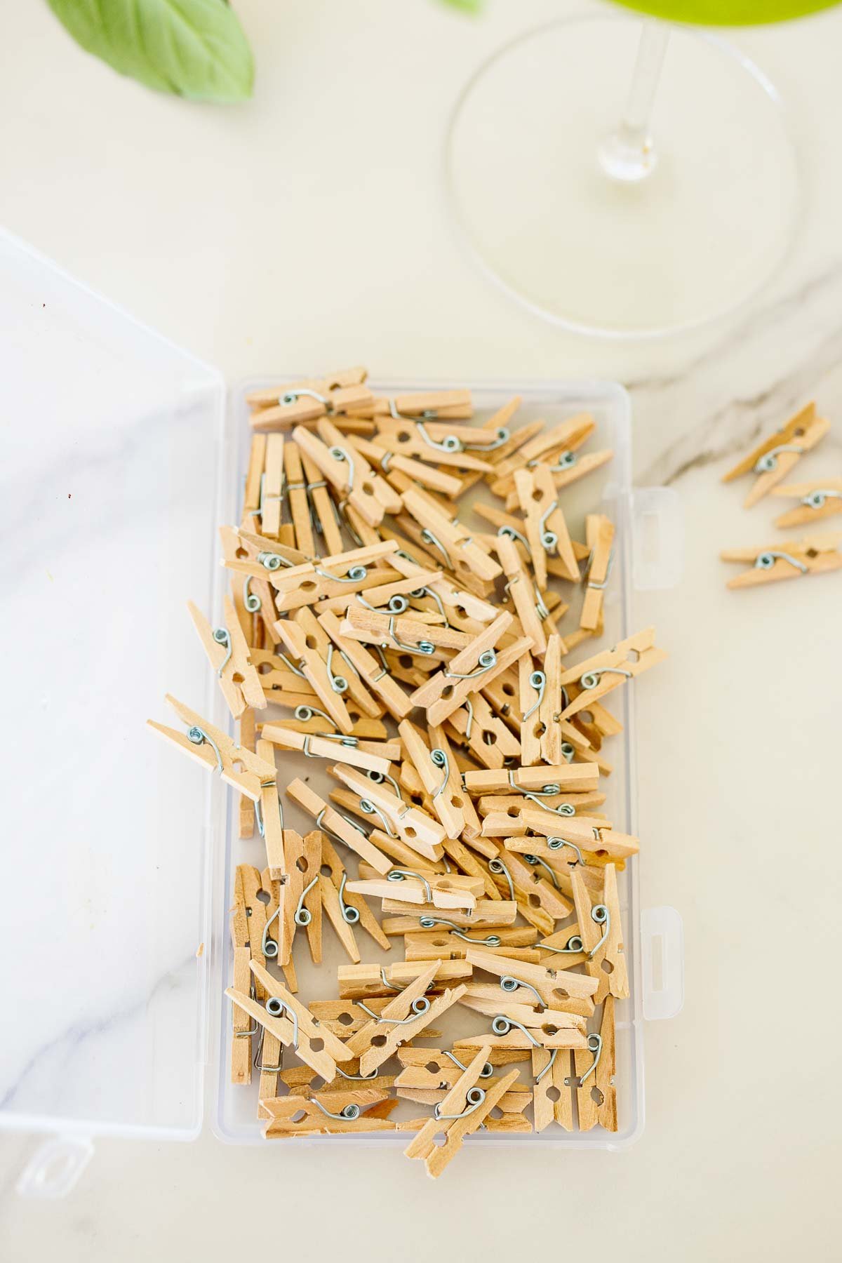 mini clothespins 